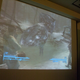 Illustration for article titled Nearly 150 Screenshots of Fallout 3 Leaked